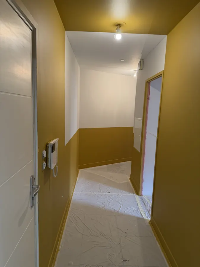 Mise en peinture d'un appartement à Toulouse, photo 6
