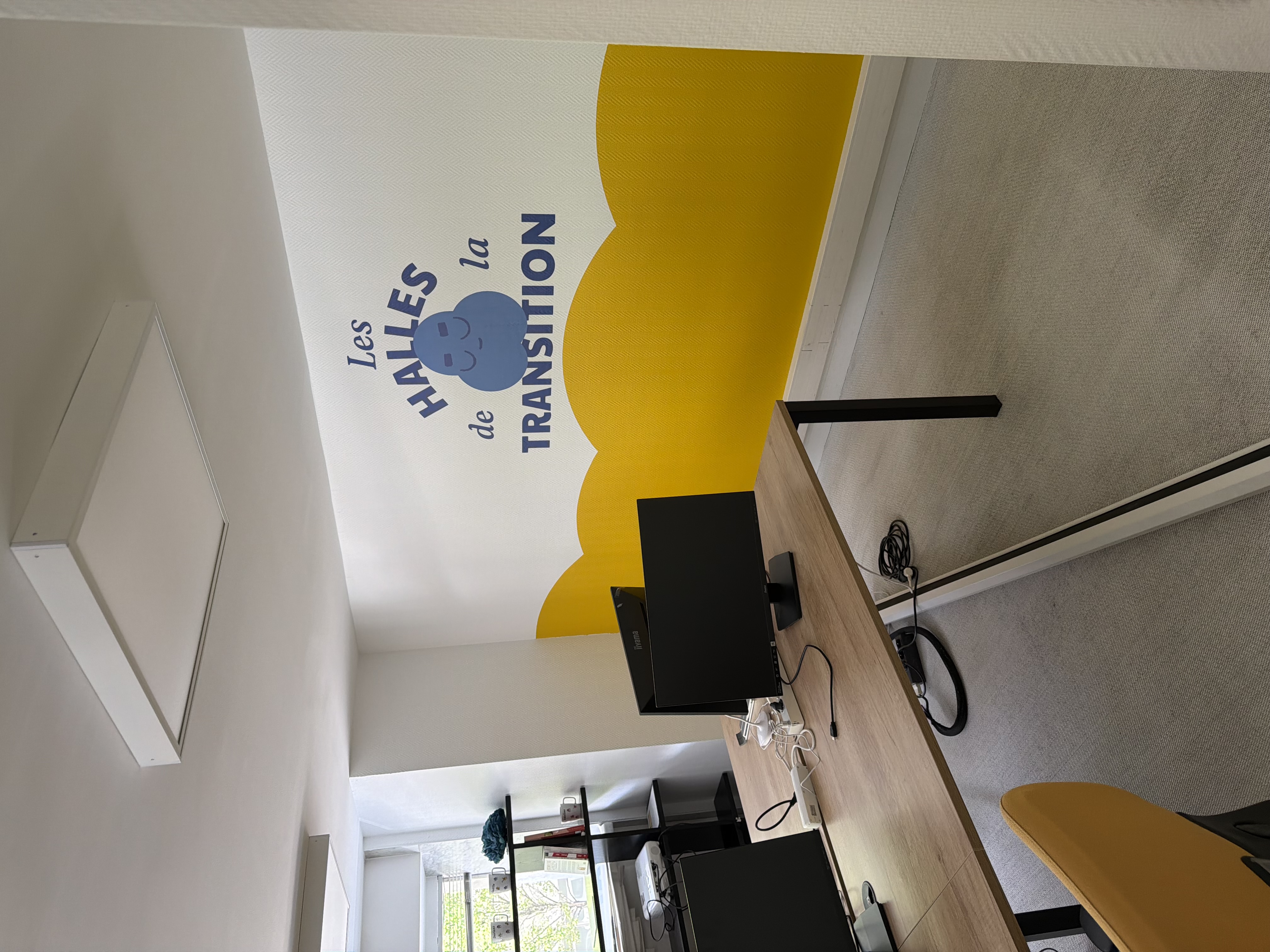 Peinture décorative bureau — Toulouse — photo 10